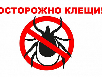 Осторожно: клещи❗.