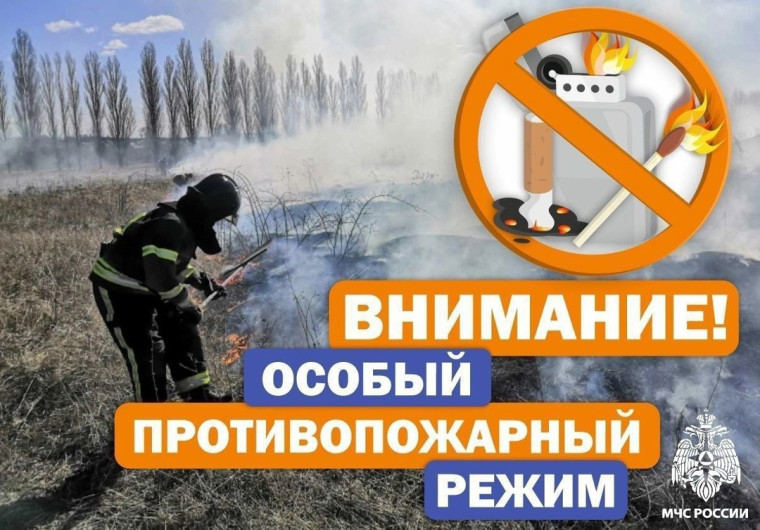 На территории Белгородской области вводится особый противопожарный режим. На территории Белгородской области вводится особый противопожарный режим.